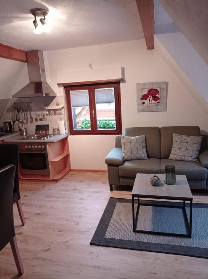 Gaestehaus Ehrhardt Schweigen-Rechtenbach Esterno foto